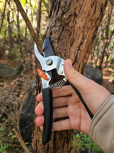 Saboten Japanese Pruning Shears 7.9" – Professional Bypass Garden Clippers, Made in Japan, Sharp Carbon Steel Blade with Sap-Resistant Fluorine Coating, Cuts up to 3/4 in (20 mm)