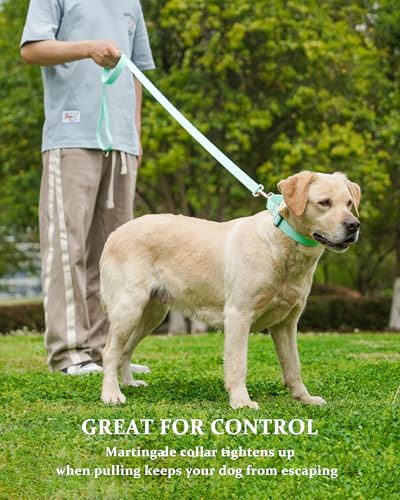 Waterproof Martingale Collar for Dogs,Easy to Clean Dog Collars with Safety Quick Release Buckle,Rubber Collar for Medium Large Dogs Walking Training (Mint Green, S (13.4-16.5inch)) - color: Mint Green, size: S (13.4-16.5inch)