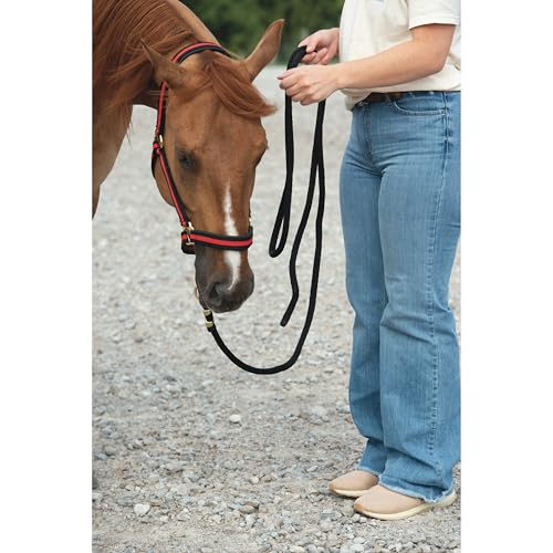 Weaver Equine Poly Lead Rope with Solid Brass Snap Hook, Measures 5/8"" x 10'