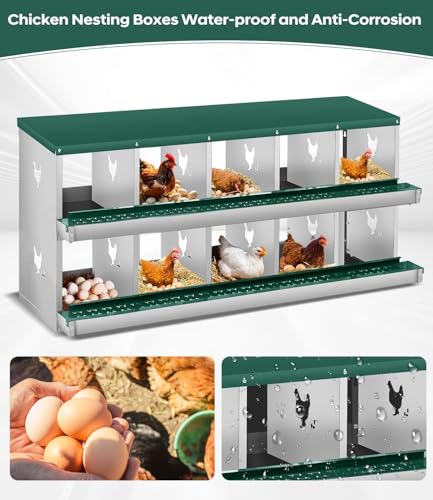 10 Compartment Chicken Nesting Box, Heavy Duty Metal Laying Box with Perch, Easy Assembly & Easy Clean for Outdoor Chicken Coop, Green - color: Green, size: 10 Compartment