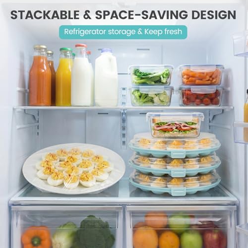 HAKSEN Deviled Egg Platter, Deviled Egg Containers with Lid | Carrier Holder Trayswith 22 Slots, Holiday Party and Home Kitchen, Blue - style: 1PCS