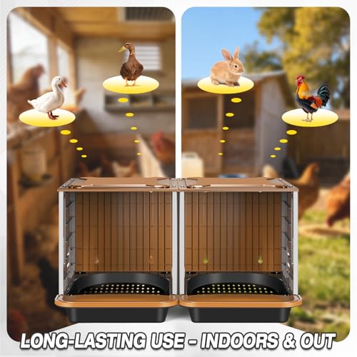 Chicken Nesting Box, 2 Compartment Nesting Boxes for Chickens, Large Chicken Laying Boxes for Egg Collection & Hen on Nest, Roll Away Nesting Boxes Chicken (Extra Large)