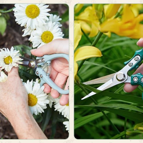Modern Sprout Pruning Shears - Garden Snips - Herb Scissors - Sage 1-Pack | Lightweight Gardening Tool - Durable Carbon Steel Blade W/Easy-Lock - Gardening Supplies - Flower Cutter - Reusable Holster - color: Sage