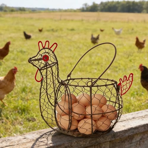 Chicken Egg Basket for Gatheirng Fresh Egg,Wire Egg basket | Rooster Shaped Egg Collection Basket,Metal Egg Collecting Basket with Handle, Farmhouse Countertop Decor Kitchen