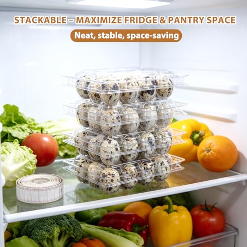 80 Pack Quail Egg Cartons 12 Grid, Heavy Duty Snap Lock Clear Plastic Small Egg Container, Stackable Bulk Tray for Quail Pigeon Button Eggs - Not for Chicken Eggs