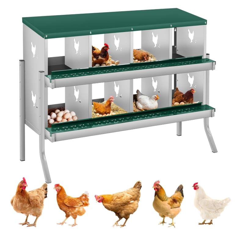 Chicken Nesting Boxes, 8 Compartment Metal Stainless Steel Chicken Laying Boxes with Legs, Removable Roll-Away Trays & 2-in-1 Perch, Easy to Clean and Install, for Outdoor Chicken Coop, Green - color: Dark green, size: 8 Room&Mat eggs