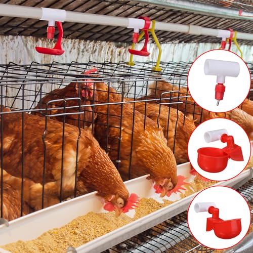 Outus 100 Pack Chicken Waterer PVC Tee Fittings, Fully Automatic Poultry Waterer PVC Fittings for Threaded Chicken Water Nipples, Cups, Drinker, Feeder, Duck, Quail, Turkey Coop Accessories, White
