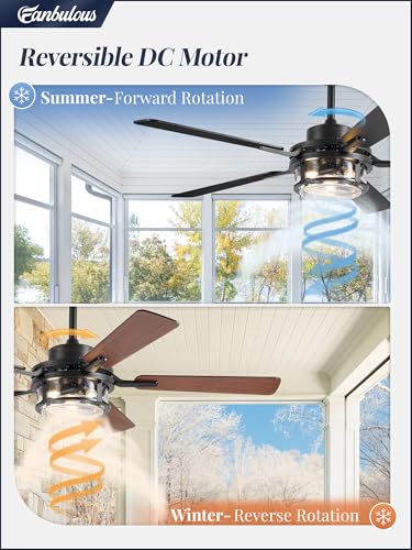 Fanbulous 52" Farmhouse Ceiling Fan with Light & Remote App, Rain Glass | Quiet DC Motor, 6-Speed Reversible, Downrod Mount, Double-Sided Blades, Black & Wood for Bedroom, Living Room - color: Black