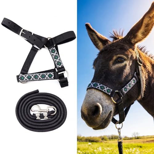 1 Set Mini Donkey Halter with Lead Rope Adjust, Black | Nylon Head Collar, Cute and Stylish, for Miniature Donkey and Small Equines, Farm Ranch Pasture Outdoor, Gingham Plaid Trim - color: Black