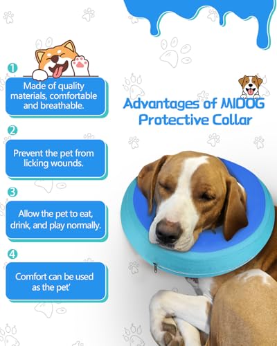MIDOG Inflatable Dog Cone, Donut Recovery Collar After Surgery, Small | Soft inflatable donut e-collar; stops licking after surgery; pet eats & sees normally; neck 9-11 in (S); not for chewers - color: GreenBlue, size: Small (Neck:9"-10")