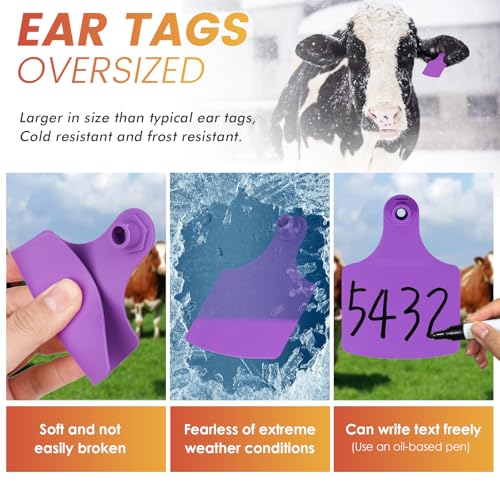 100 Pieces Blank Cattle Ear Tag with Applicator for Pig Cattle Cow Dog | TPU Livestock Ear Tag Kits Animal Identification with Ear Tag Applicator (Purple) - color: Purple