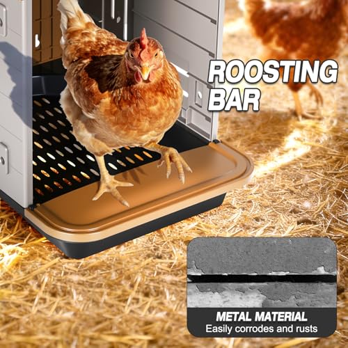 Chicken Nesting Box, 2 Compartment Nesting Boxes for Chickens, Large Chicken Laying Boxes for Egg Collection & Hen on Nest, Roll Away Nesting Boxes Chicken (Extra Large)