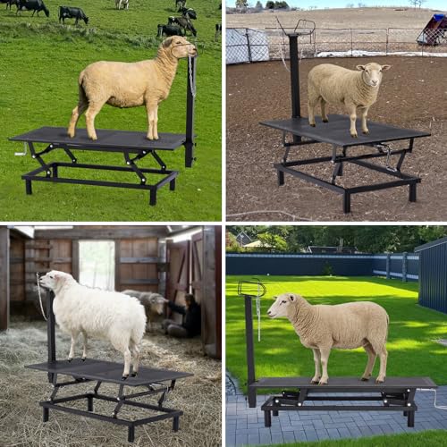 GTPLAYER Goat Milking Stand with Hand Crank,Wheels – 48"x23" Adjustable Headpiece & Height, for Grooming, Milking, Hoof Trimming, Heavy Duty Metal Sheep/Goat Stand, 500 LB Capacity Black