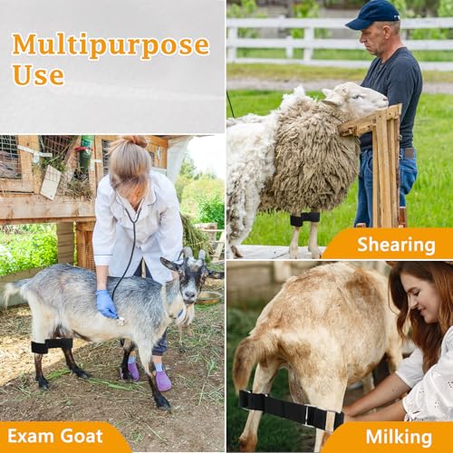 Adjustable Goat Hobbles Binding Tool Nylon Goat Milking Hobbles Goat Milking Supplies Black Goat Binding Tool Goat Banding Kit for Milking Goat Mini Goat Nigerian Dwarfs Nubian Goats