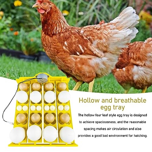 Egg Turning Tray, Incubator Chicken Multifunction Automatic Turner Tray Quail Incubation, Incubators for Hatching Eggs (DC12V) - size: DC12V