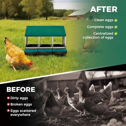 Galvanized Steel Chicken Nesting Box 3 Compartment with Pull Out Tray, Roll Away Nest Boxes for Laying Hens Egg Collection, Wall Mount Poultry Nest Box for Coop with Handle, Green - color: Green, size: 3 Compartments