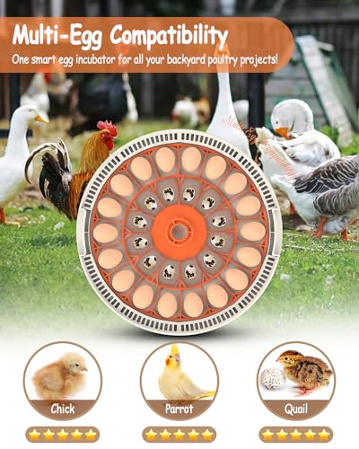 Incubator for Hatching Eggs, 30 Eggs Incubator with Automatic Egg Turning, Temperature Control & Humidity Display, LED Egg Candler, for Chicken, Quail, Parrot Eggs