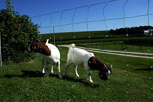 Classic Electric Netting- Electric Fence Protects Sheep, Goats, Gardens, beehives, and More. Electric net Fence Keeps preditors Out. (42" x 82') - size: 42" x 82'