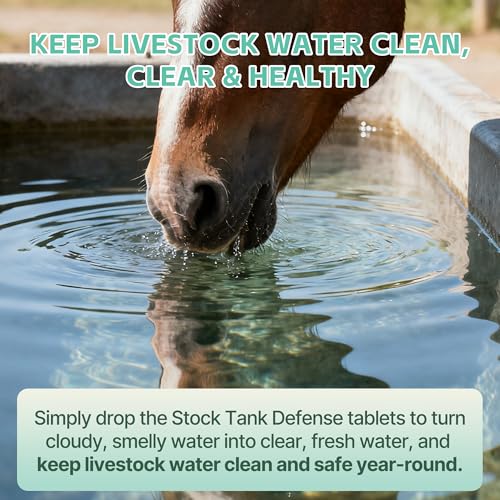 Stock Tank Defense Tablets – Stock Tank Care for Livestock Water Troughs – Helps Reduce Visible Buildup & Sludge – Easy Routine Care for Horses, Cattle, Goats & Chickens, 300 Count
