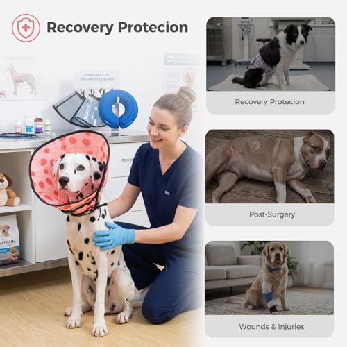 Avont 2026 Upgraded Dog Recovery Collar, Breathable Elizabethan Collar, L | Soft Dog Cone Alternative After Surgery to Stop Licking, Foldable/Adjustable/Secure-Fit for Medium Large Dogs, Apple - color: Apple, size: L Neck:(13.8"-18.9") Depth:(10.4")