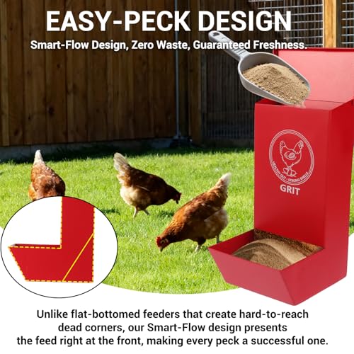 2-Pack Metal Chicken Grit Feeder & Oyster Shell Feeder with Lid - Hanging Gravity Poultry Feeder for Chickens, Ducks, Quail - Rain Proof Chicken Coop Accessories - Wall Mount Chicken Feeders No Waste