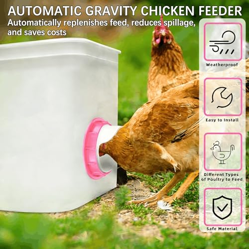 Chicken Feeder Port 6 Pack Pink, Solar Fan for Chicken Coop with Battery & Timer