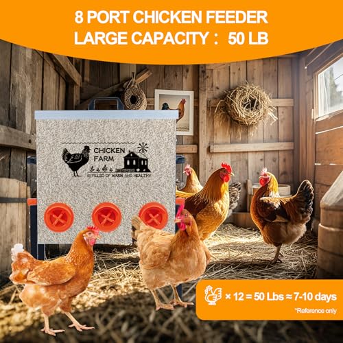 Automatic Chicken Feeder Box 50 lbs, 8 Feeding Ports, No Waste Poultry Feeder with Locking Lid and Adjustable Legs for Chickens, Ducks, Geese Galvanized Metal (50 Lbs-8 Ports) - size: 50 Lbs-8 Ports