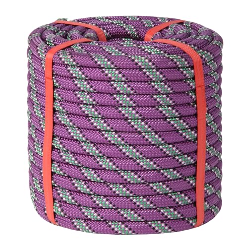 Arborist Rope Tree Climbing Rope(1/2 Inch x 100ft) 48 Strands Bull Rope for Construction Climbing Swing Sailing - size: 1/2 x 100ft, style: Purple