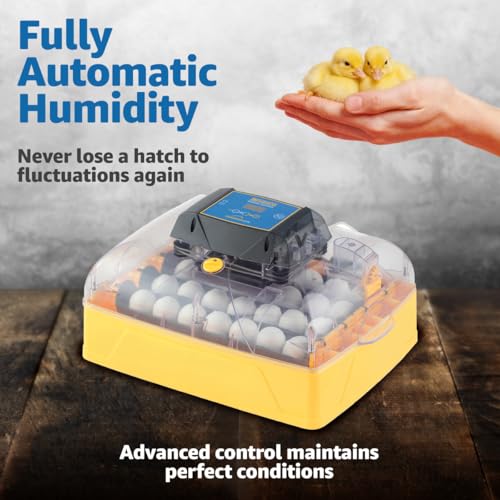 Brinsea Ovation 28 EX Egg Incubator, Humidity Control & Educational Book | 50+ years of trusted precision! Built-in automatic humidity, auto-turn & temp alarms take the stress out of hatching 28 eggs - style: With Book