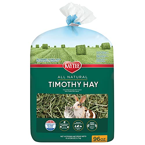 Kaytee Timothy Hay, High Fiber for Rabbits, Guinea Pigs, 96 Ounces | Supports digestive health. Hand-selected rabbit hay. Guinea pig hay, chinchilla hay, pesticide free - size: 6 Pound (Pack of 1)