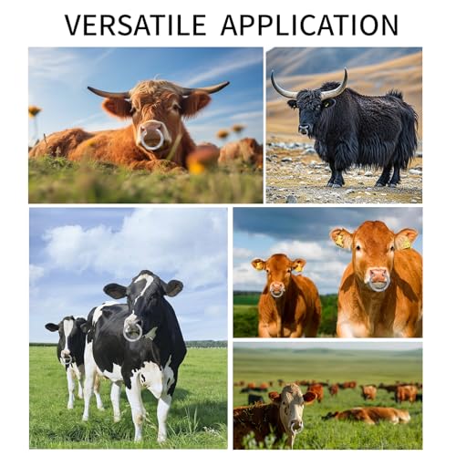 Longtor Bull Nose Ring, Carbon Steel, Rustproof, Secure Lock (2.20″) | Heavy duty for cattle/livestock. Easy insert & secure lock. Rustproof steel. Farmer/vet essential. - size: 2.20″