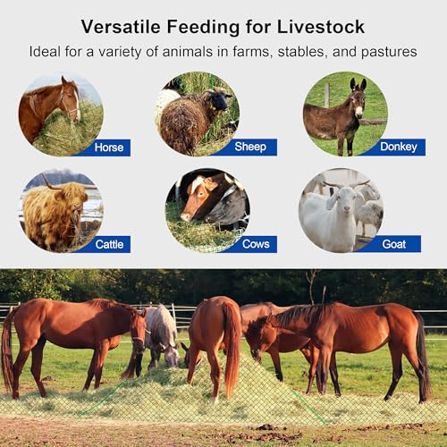 6x6 ft Round Bale Hay Net- Large Slow Feed Hay Net for Horses Goat Livestock, Knotless Sturdy Whole Bale Feeder with 1.57" Holes Fits for Round Bales 4x4 5x5, 6x6ft or Square 3x3x8, 4x4x8, 5x5x8ft - style: 6*6Ft(Green)