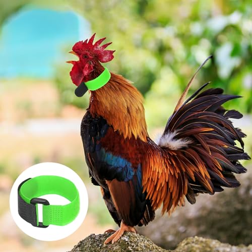 M METERXITY 10-Pack Rooster Collars, 8.07" x 0.79" Adjustable Soft Polyester Anti-Noise Neck Belt for Chickens and Poultry Birds, Noise Control Collar [Green] - color: Green