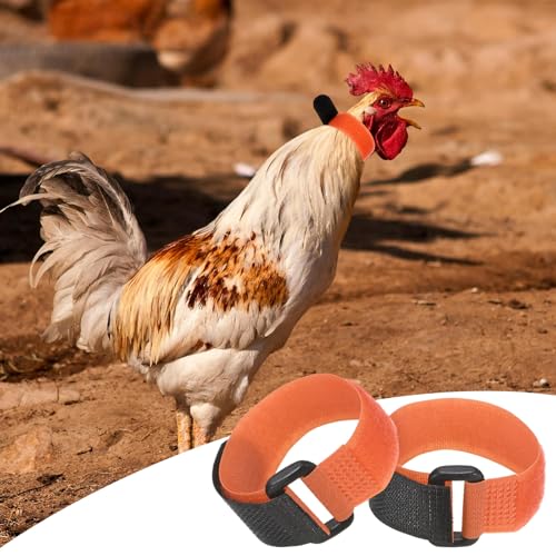 M METERXITY 10-Pack Rooster Collars, 8.07" x 0.79" Adjustable Soft Polyester Anti-Noise Neck Belt for Chickens and Poultry Birds, Noise Control Collar [Orange] - color: Orange