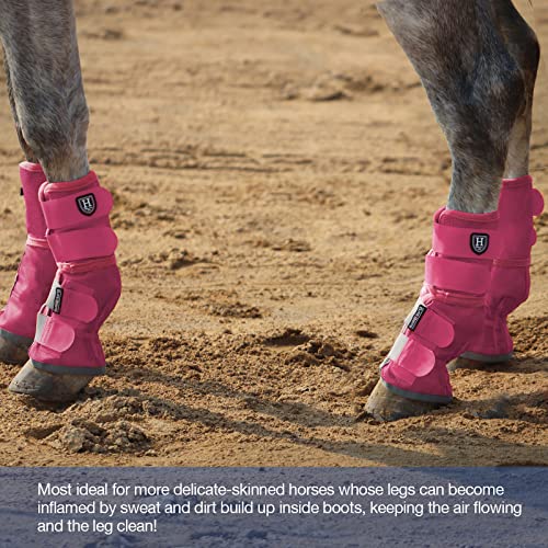 Harrison Howard Horse Leg Guard Stomp Reduction Hook and Loop Closures Rubbing Prevention - color: Magenta, size: Arab Medium (Pack of 4)