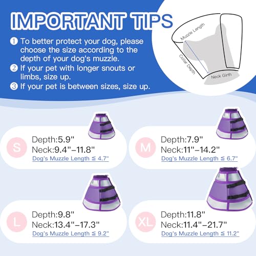 Dog Cone Collar After Surgery to Stop Licking | Adjustable Elizabethan Collar for Neutering, Lightweight Breathable Recovery Neck Cone to Prevent Biting Wounds & Hot Spots (Purple, L) - color: Purple, size: Large