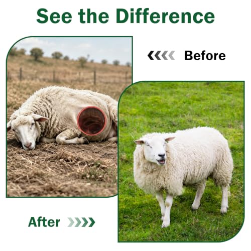 Dewormer for Goats and Sheep with Fenbendazole, Liquid Dewormer | for Roundworms, Lungworms, Tapeworms & More, 150ml