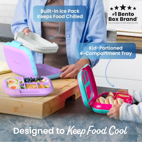 Bentgo Chill Kids 4-Compartment Bento Box Leakproof Lunch Box | Built-In Ice Pack, 3.3 Cup Capacity, BPA-Free, Microwave & Dishwasher Safe Tray, Ideal for Ages 3–7 (Vivid Orchid) - color: Confetti Edition - Vivid Orchid