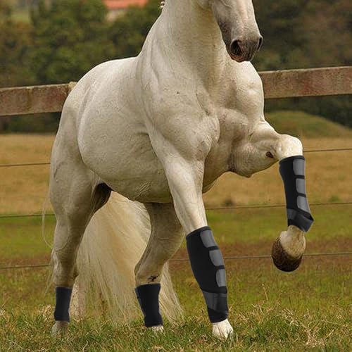 4 Pcs Horse Sport Boots - Neoprene Protective Breathable Comfy Mesh All-Round Lower Limb Protection & Support for Jumping Trail Riding Endurance Training and Performance - size: ‎Large / Full