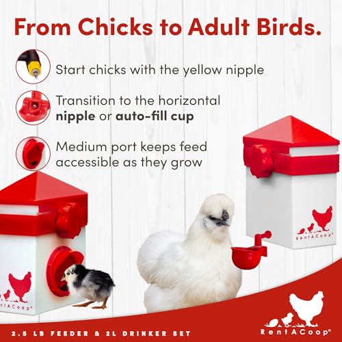 RentACoop Chick2Chicken 2.5lb Medium Port Feeder and 64oz Drinker Set