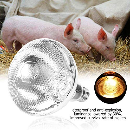 Livestock Heat Lamp, 175W Sunlight Lamp Heating Light Bulb for Reptile Snake Piglet, etc (175W)