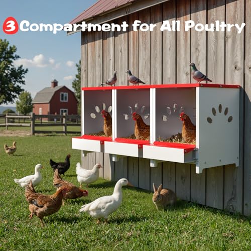 Chicken Nesting Boxes 3 Hole, Large Metal Hen Laying Box with Swing Perch | Roll Away Egg Collection, Wall Mountable with Vented Holds for Chickens Ducks Birds - size: 12.2"L x 9.9"W x 15.4"H