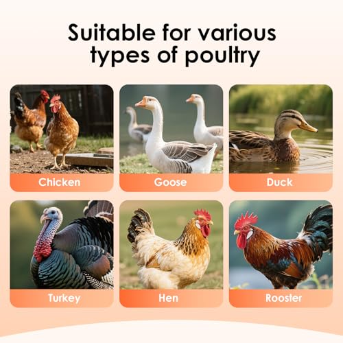 15lbs Automatic Chicken Feeder - 10 Feeding Ports Duck Feeder | No Waste Poultry Feeder, Large Feeding Though Dispenser for Chickens Duck, Galvanized Metal Material, Sturdy And Durable