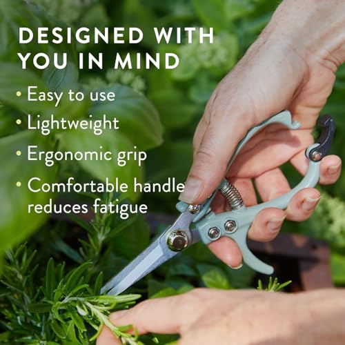 Modern Sprout Pruning Shears - Garden Snips - Herb Scissors - Multi 12-Pack | Lightweight Gardening Tool - Durable Carbon Steel Blade W/Easy-Lock - Gardening Supplies - Flower Cutter - Reusable Holster - color: Multicolor - 12pcs
