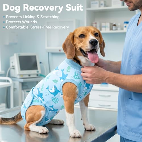 cyeollo Dog Surgery Recovery Suit, Surgical Onesie for Female & Male Dogs | Prevents Licking, Cone Alternative, After Spay & Neuter Body Suit, Protects Surgical Wounds, Easy Potty Access, 4-Way Stretch - color: Shark, size: X-Small (Back: 9"-11")