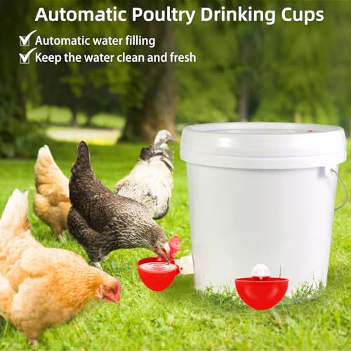 10Pack Large Chicken Waterer Cups, DIY Auto Poultry Water Feeder | Chicken Water Feeder Suitable for Chicks, Duck, Goose,Cat and Turkey , Easy Install with 3/8" Drill Bit