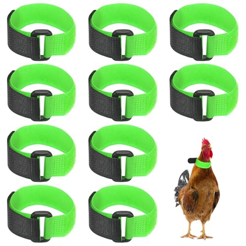 M METERXITY 10-Pack Rooster Collars, 8.07" x 0.79" Adjustable Soft Polyester Anti-Noise Neck Belt for Chickens and Poultry Birds, Noise Control Collar [Green] - color: Green