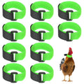 M METERXITY 10-Pack Rooster Collars, 8.07" x 0.79" Adjustable Soft Polyester Anti-Noise Neck Belt for Chickens and Poultry Birds, Noise Control Collar [Green] - color: Green