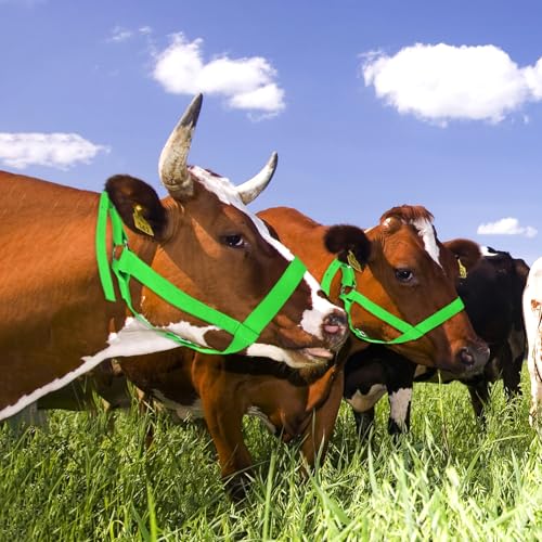 M METERXITY 2-Pack Adjustable Cattle Cow Calf Halter, 15.74"-19.68" Nylon Livestock Cow Halter for Miniature Horse/Donkey/Goat/Cattle [Green]