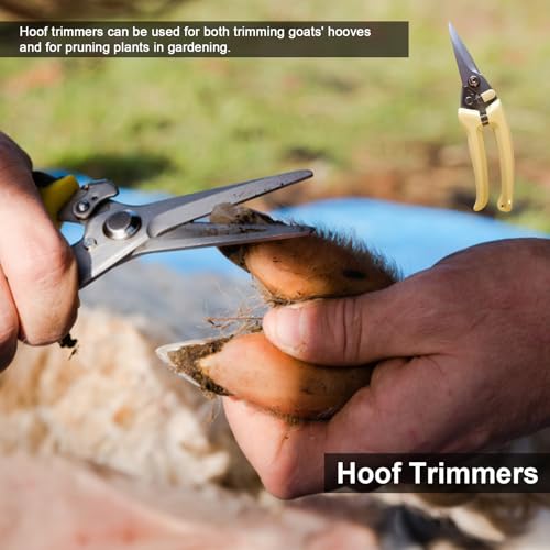 14 Inch Horse Farrier Tool Kits,7 Piece Professional Hoof Trimming Kit with Hoof Nippers, Rasp, Shear Cutter, Hoof Knife, Pick, Gloves, Storage Bag, for Horse Goat Pig Hoof Care - size: 14 Inch